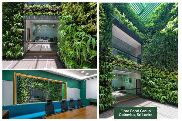 Flora Food Group_Colombo, Sri Lanka